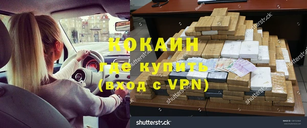 стаф Баксан