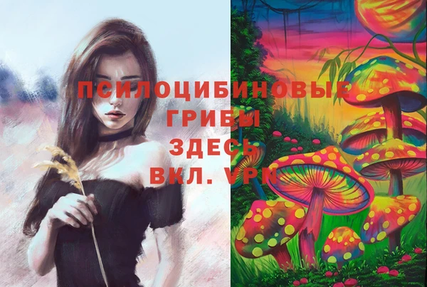 тгк Армянск