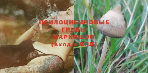 альфа пвп Михайлов